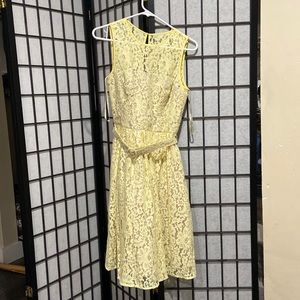 Eliza J lace dress with belt, size 6